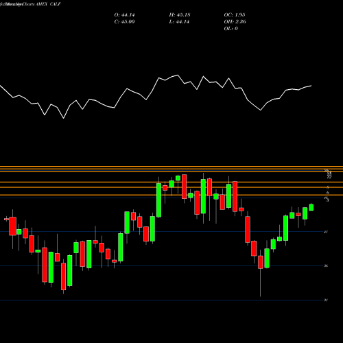 Monthly charts share CALF Pacer US Small Cap Cash Cows 100 ETF AMEX Stock exchange 