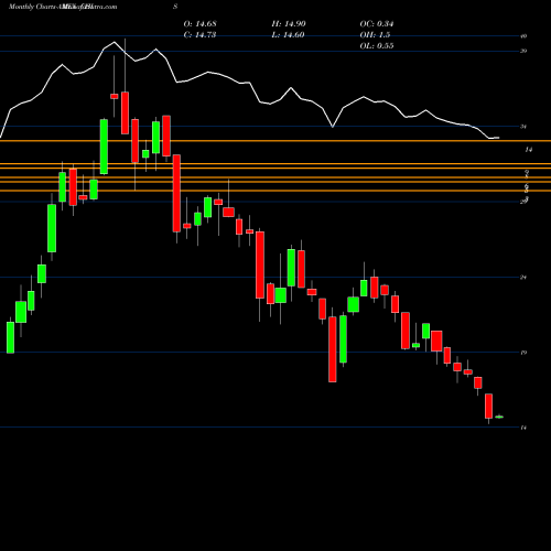 Monthly charts share CHIS G-X MSCI China Consumer Staples ETF AMEX Stock exchange 