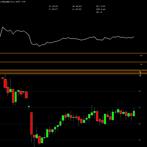 Monthly charts share COW DJ-UBS Livestock TR Sub-Idx ETN Ipath AMEX Stock exchange 