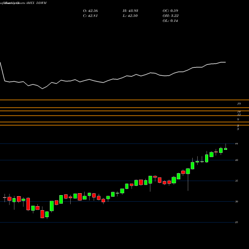 Monthly charts share DDWM Wisdomtree Dynamic Currency Hed AMEX Stock exchange 