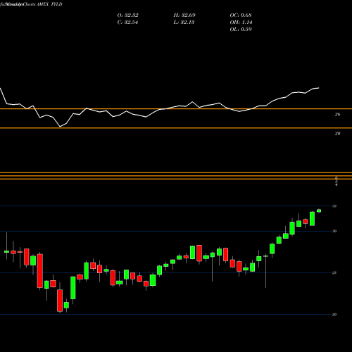 Monthly charts share FYLD Cambria Foreign Shareholder Yie AMEX Stock exchange 