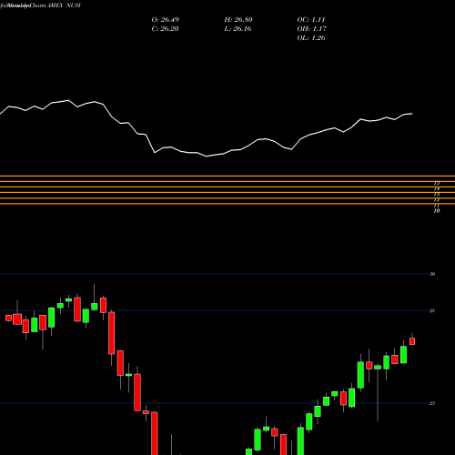 Monthly charts share NUSI Nationwide Risk-Managed Income ETF AMEX Stock exchange 