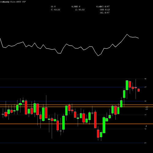 Monthly charts share PJP Dynamic Pharmaceuticals Powershares AMEX Stock exchange 