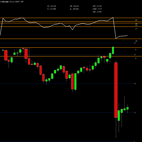 Monthly charts share RIF Rmr Real Estate Income Fund AMEX Stock exchange 