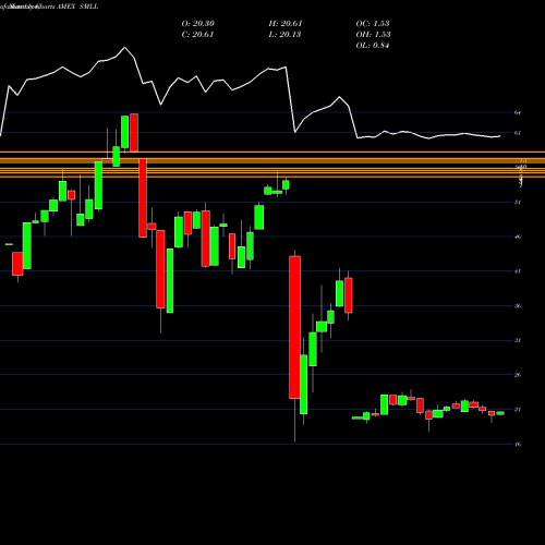 Monthly charts share SMLL Direxiion Daily Small Cap Bull AMEX Stock exchange 