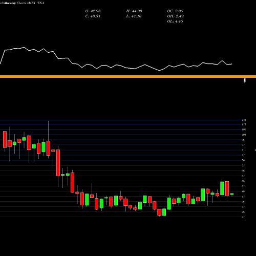 Monthly charts share TNA Smallcap Bull 3X Direxion AMEX Stock exchange 