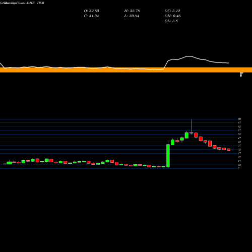 Monthly charts share TWM Ultrashort Russell 2000 Proshares AMEX Stock exchange 