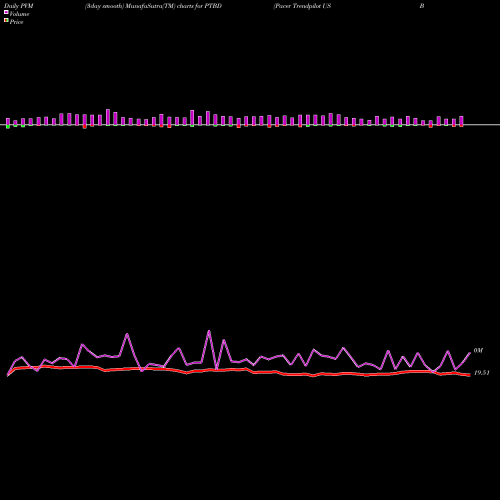 PVM Price Volume Measure charts Pacer Trendpilot US Bond ETF PTBD share AMEX Stock Exchange 