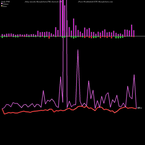 PVM Price Volume Measure charts Pacer Wealthshield ETF PWS share AMEX Stock Exchange 