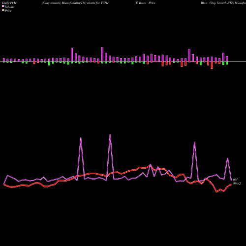 PVM Price Volume Measure charts T. Rowe Price Blue Chip Growth ETF TCHP share AMEX Stock Exchange 