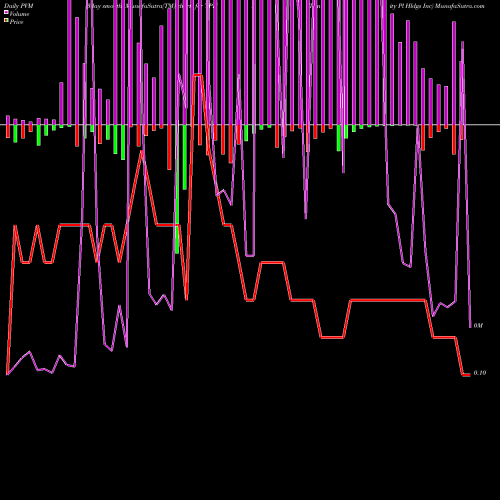 PVM Price Volume Measure charts Trinity Pl Hldgs Inc TPHS share AMEX Stock Exchange 