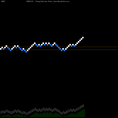 Free Renko charts Blackrock Future Health ETF BMED share AMEX Stock Exchange 