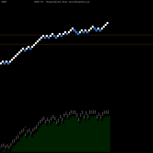 Free Renko charts Microsectors 3X U.S. Big Banks ETN BNKU share AMEX Stock Exchange 