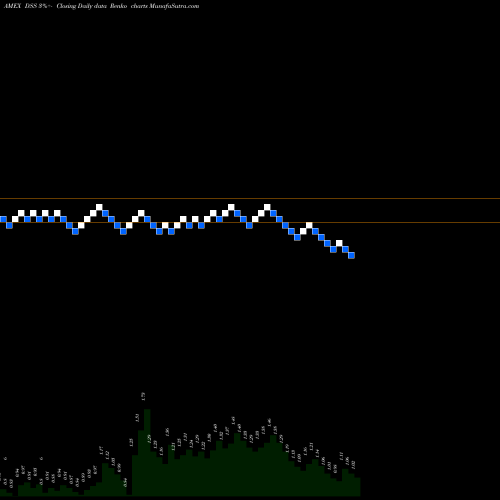 Free Renko charts Document Security Systems DSS share AMEX Stock Exchange 