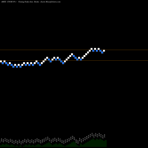 Free Renko charts Norway Capped Investable Mkt Idx Fd MSCI ENOR share AMEX Stock Exchange 