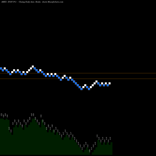 Free Renko charts Enservco Corpporation ENSV share AMEX Stock Exchange 