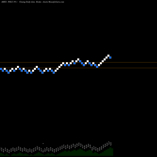 Free Renko charts Fidelity MSCI Health Care Index FHLC share AMEX Stock Exchange 