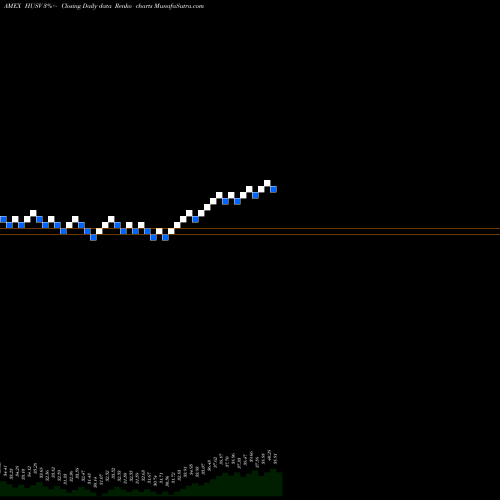 Free Renko charts First Trust Horizon Managed Volatility Domestic HUSV share AMEX Stock Exchange 
