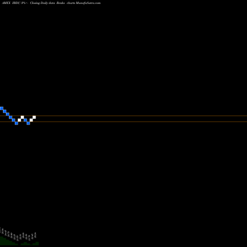 Free Renko charts Ishares Ibonds Dec 2029 Term Corporate ETF IBDU share AMEX Stock Exchange 