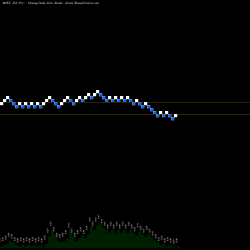 Free Renko charts India Globalization Capital Inc IGC share AMEX Stock Exchange 