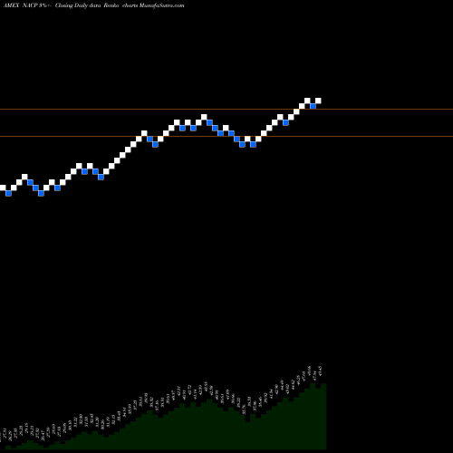 Free Renko charts Impact Shares Naacp Minority Empowerment ETF NACP share AMEX Stock Exchange 