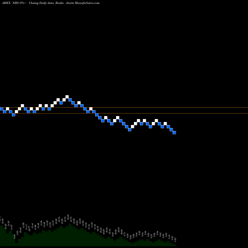 Free Renko charts Neuberger Berman New York Intermediate NBO share AMEX Stock Exchange 