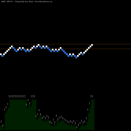 Free Renko charts Novabay Pharmaceuticals NBY share AMEX Stock Exchange 
