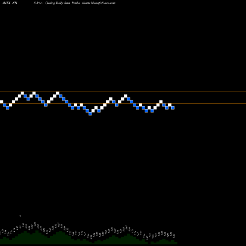 Free Renko charts Neuberger Berman High Yield Strategies NHS share AMEX Stock Exchange 