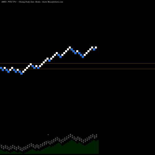 Free Renko charts Pacer Trendpilot 750 ETF PTLC share AMEX Stock Exchange 