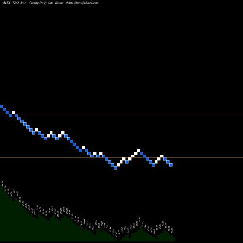 Free Renko charts Technology Bear 3X Direxion TECS share AMEX Stock Exchange 