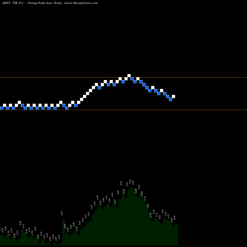 Free Renko charts Tel-Instrument Electronics TIK share AMEX Stock Exchange 