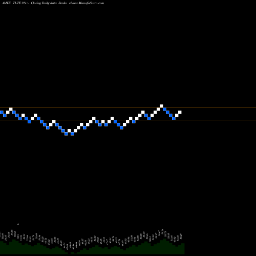 Free Renko charts Flexshares Morningstar Emerging TLTE share AMEX Stock Exchange 