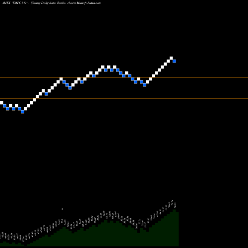 Free Renko charts Motley Fool 100 Index ETF TMFC share AMEX Stock Exchange 