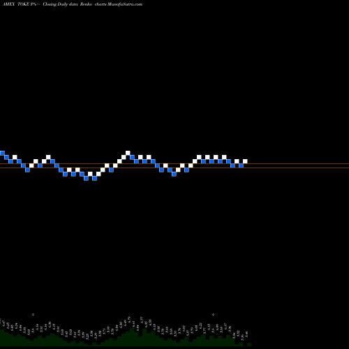 Free Renko charts Cambria Cannabis ETF TOKE share AMEX Stock Exchange 