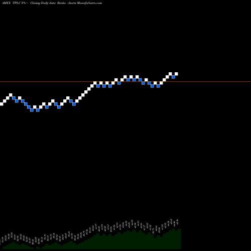 Free Renko charts Timothy Plan US Large Cap Core ETF TPLC share AMEX Stock Exchange 