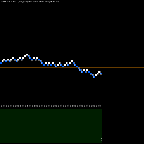 Free Renko charts Triangle Petroleum Corp TPLM share AMEX Stock Exchange 