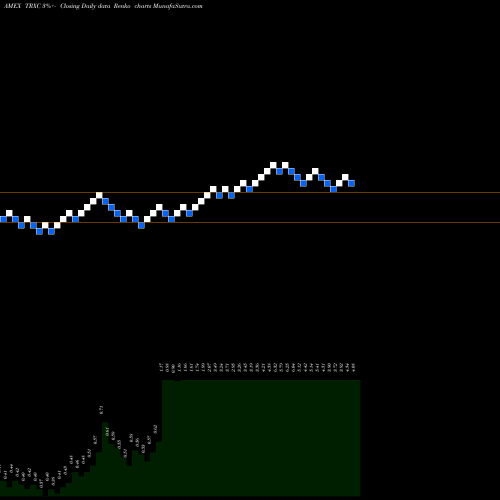 Free Renko charts Transenterix Inc. TRXC share AMEX Stock Exchange 