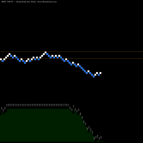 Free Renko charts Versar Inc VSR share AMEX Stock Exchange 