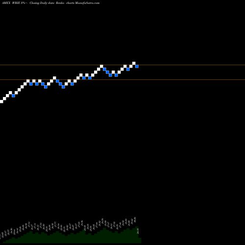 Free Renko charts Wbi Large Cap Tactical Growth S WBIE share AMEX Stock Exchange 