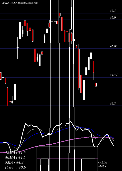  Daily chart AmericanConservative