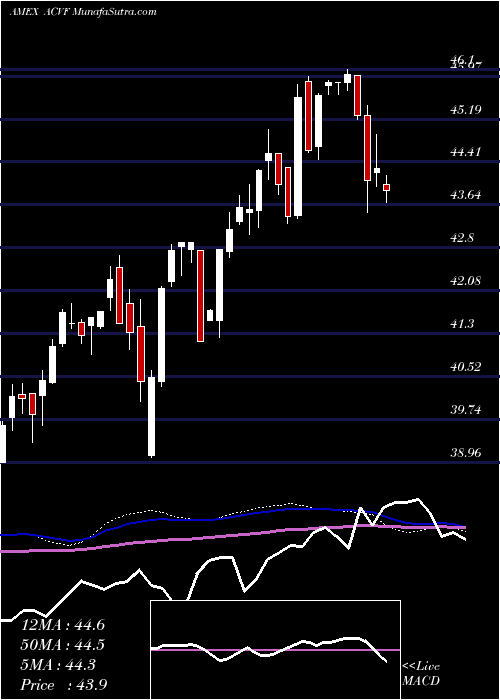  weekly chart AmericanConservative