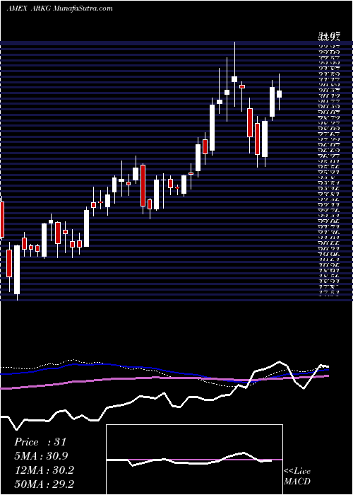  weekly chart ArkGenomic