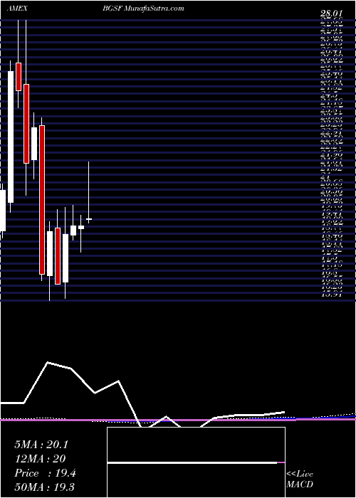  monthly chart BgStaffing