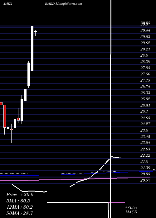  monthly chart BlackrockFuture