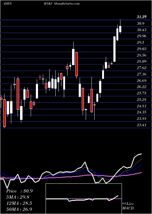  Daily chart Microsectors3x