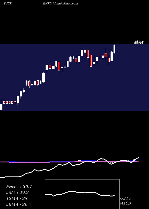  weekly chart Microsectors3x