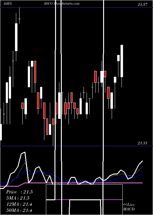  Daily chart GuggenheimBulletshares