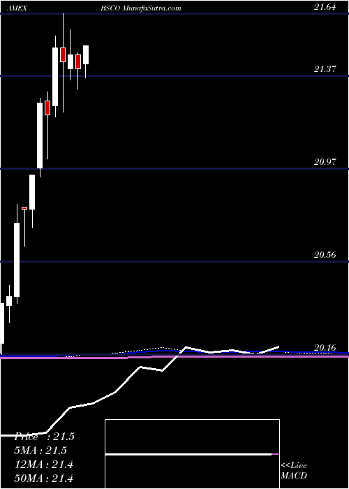  monthly chart GuggenheimBulletshares