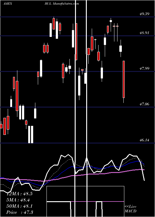  Daily chart PacerUs