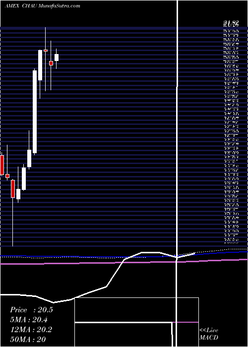  monthly chart DirexionDaily